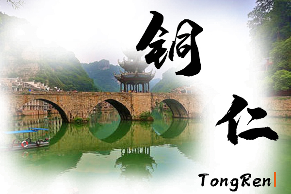 銅仁汽車托運公司