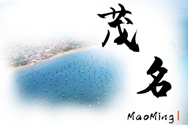 茂名汽車托運公司