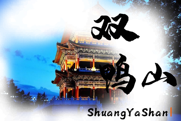 雙鴨山汽車托運(yùn)公司