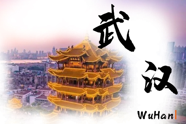 武漢汽車托運(yùn)公司